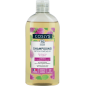 Oily hair shampoo with jujube and oragnic burdock 250ml Oily hair shampoo with jujube and oragnic burdock 250ml