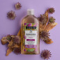 Oily hair shampoo with jujube and oragnic burdock 250ml Oily hair shampoo with jujube and oragnic burdock 250ml