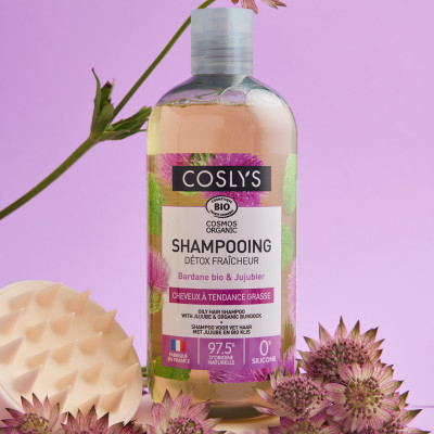 Shampooing détox fraîcheur cheveux à tendance gras 500ml