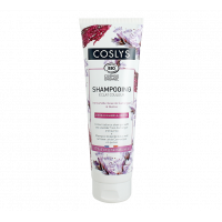 Shampoing Cheveux colorés et méchés 250 ml Coslys