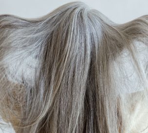 transition cheveux gris coslys